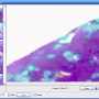 ia_html_14120bb5.png