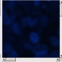 ia_html_3a2fe76f.png