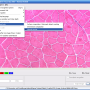 ia_html_7e3f4402.png