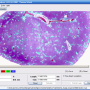 ia_html_m443715e9.png