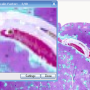 ia_html_m6bebaa3a.png