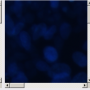 ia_html_m9a6b370.png