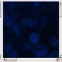 image019.png