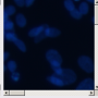 image021.png